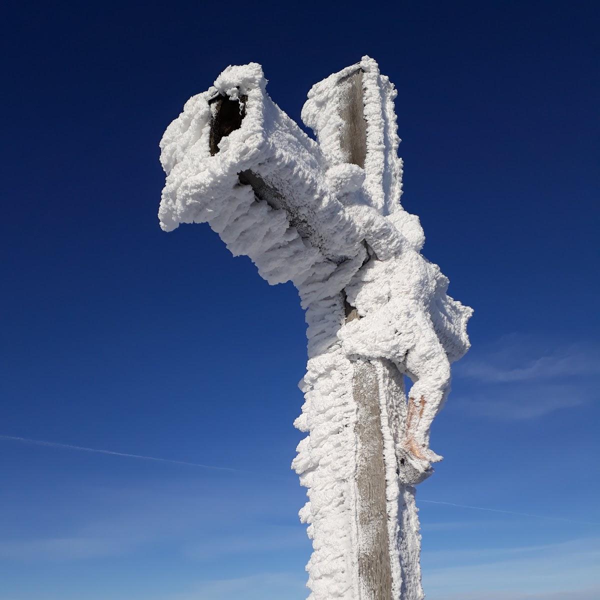 Restaurant "Fritz Pertler" in  Hohenau