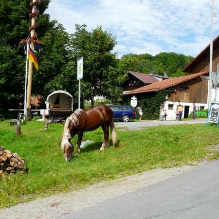 Restaurant "R. Janka" in  Neuschönau