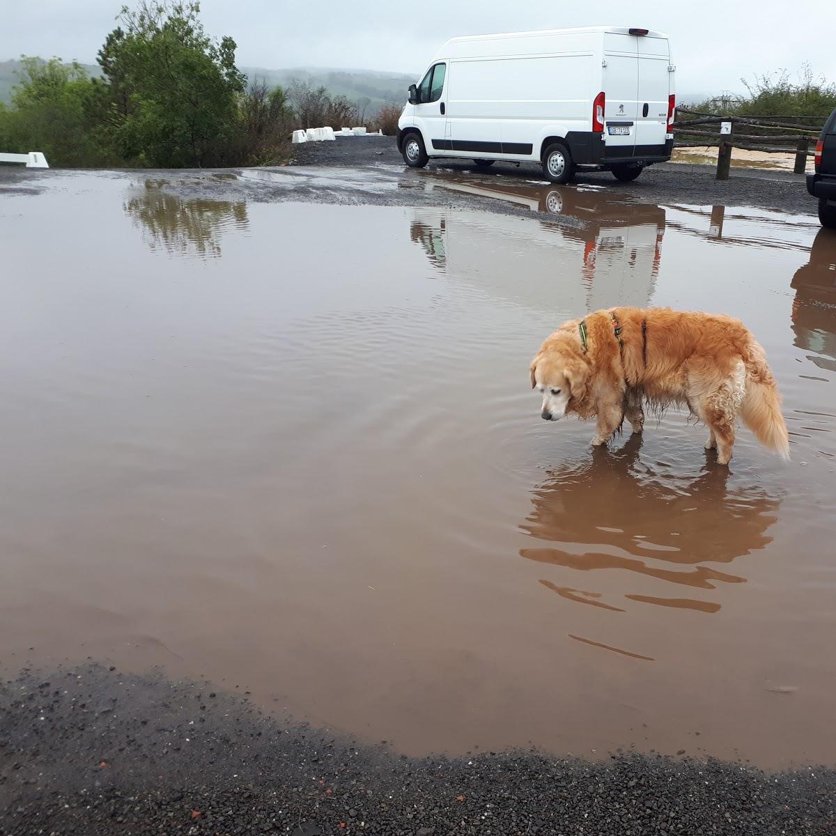 Restaurant "Wickersberger Hof" in  Saarbrücken