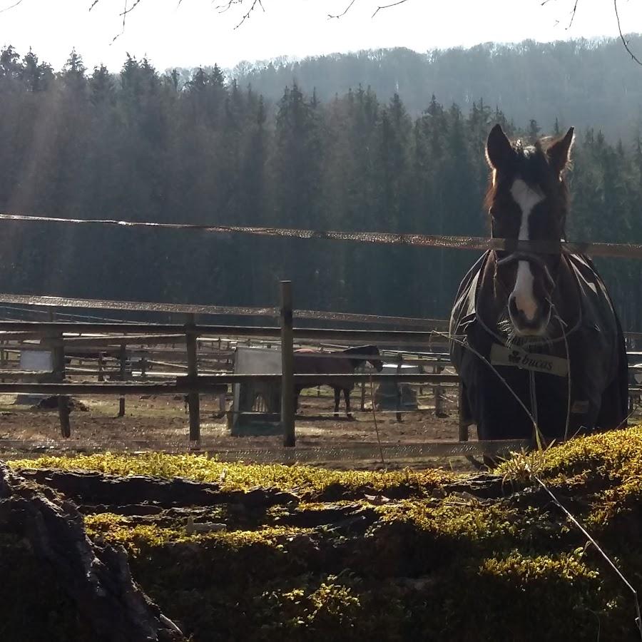 Restaurant "Kleintiroler Hütte" in  Gersheim