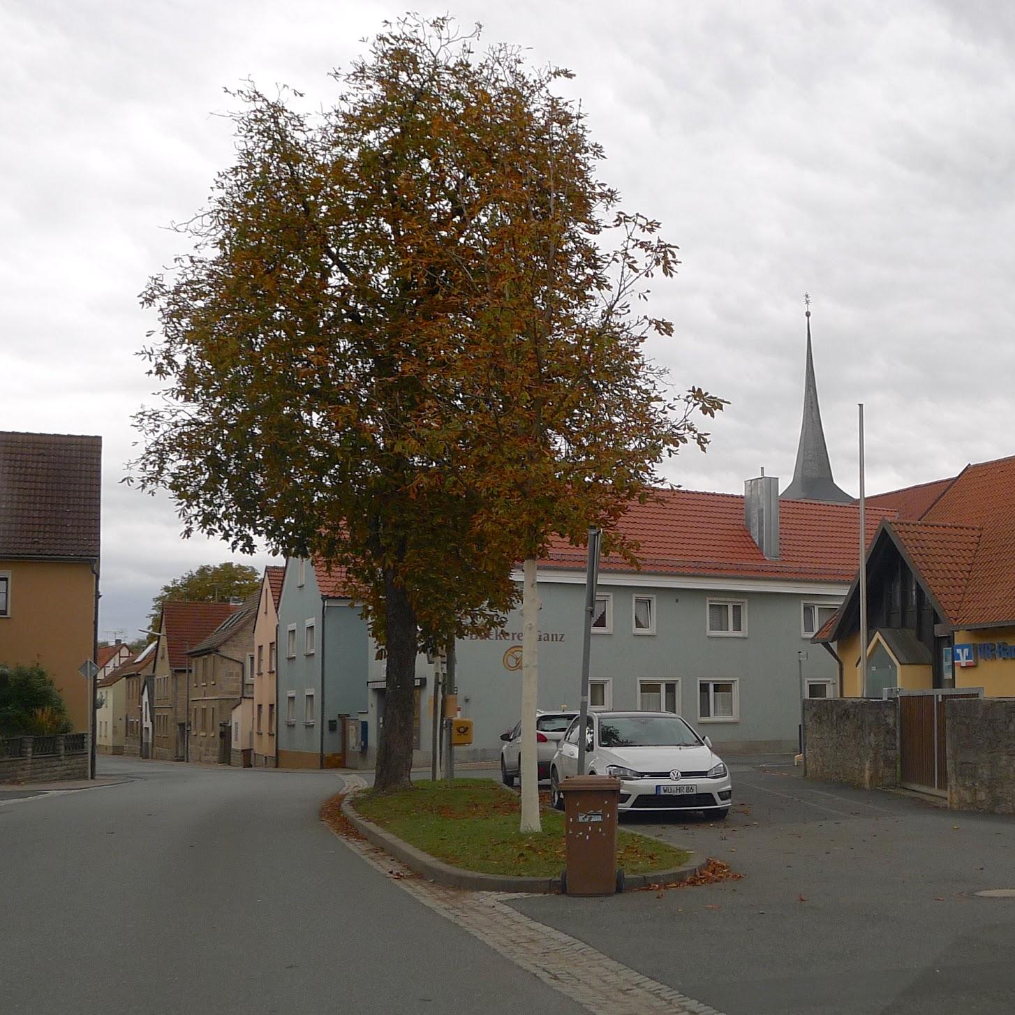 Restaurant "Landgasthof zur Mühle" in  Eibelstadt