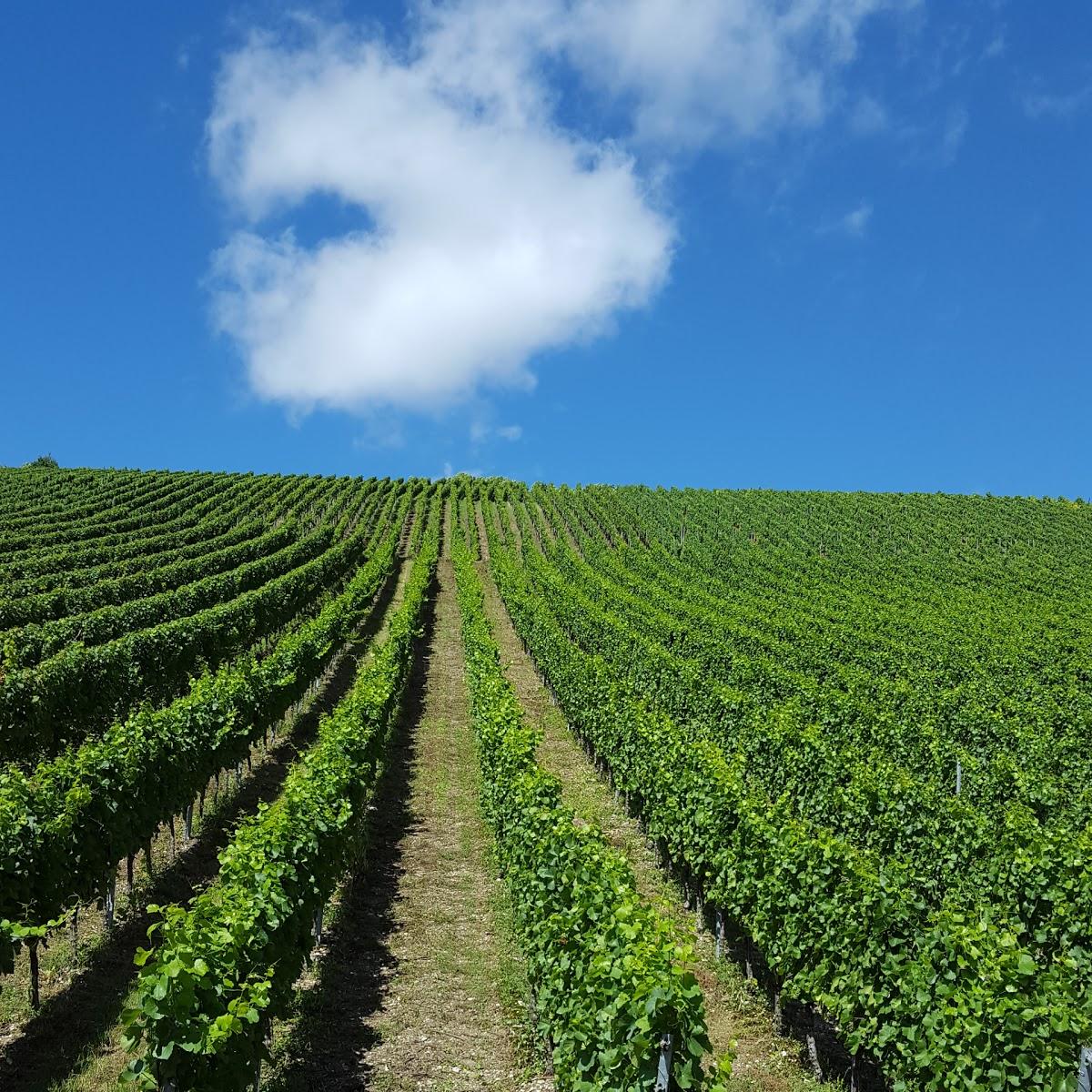 Restaurant "Weingut Alfred Schmachtenberger" in  Randersacker