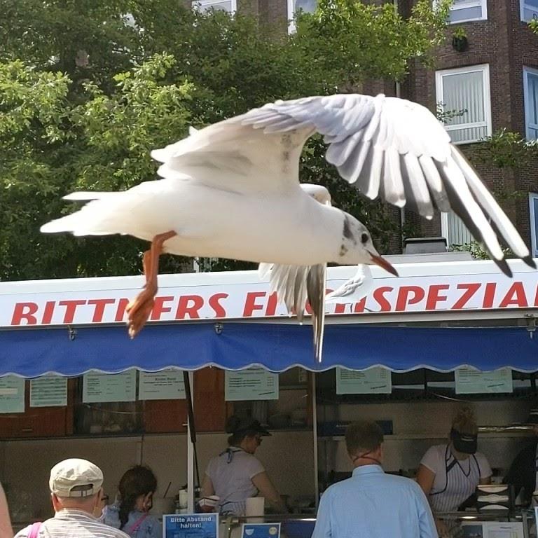 Restaurant "Bittner Fischspezialität" in  Emden
