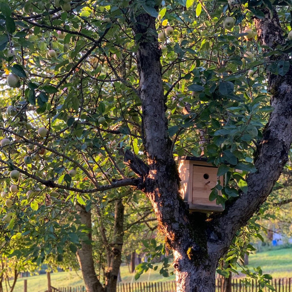 Restaurant "Härlenstüble" in  Loßburg