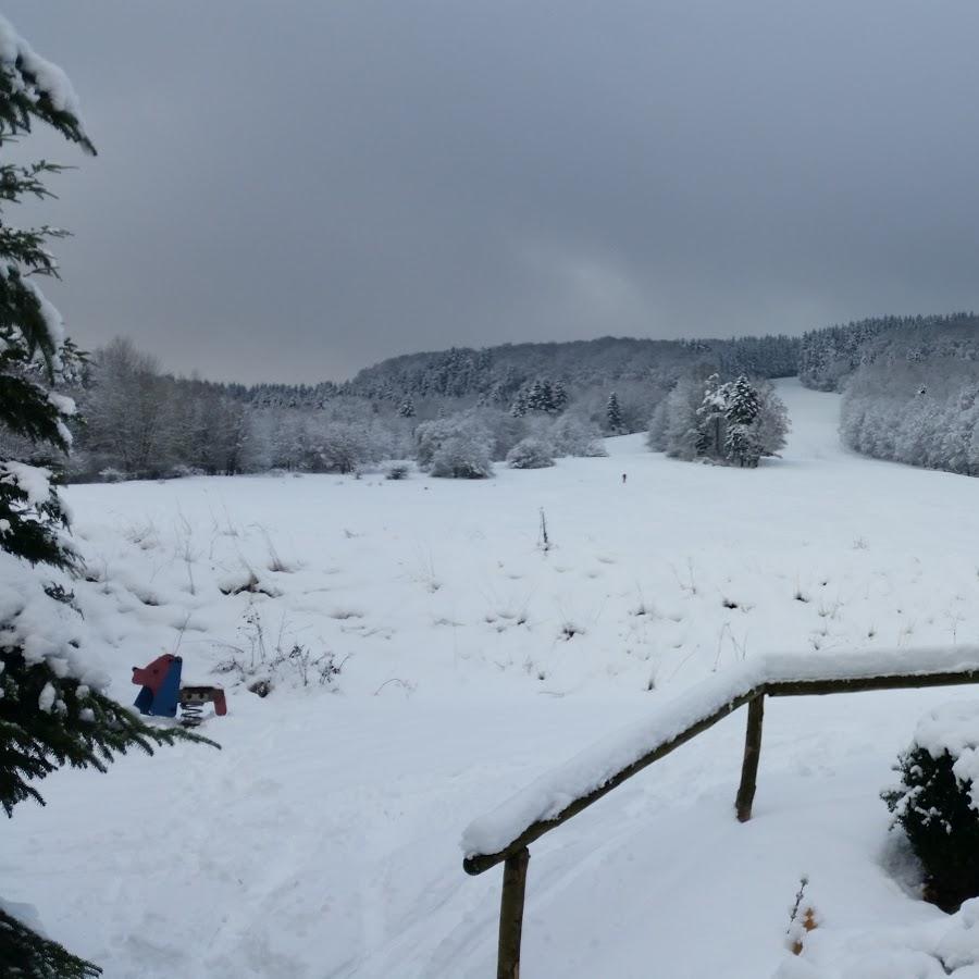 Restaurant "Landgasthof Zum Löwen bei Siggi Reitz" in  Weilrod