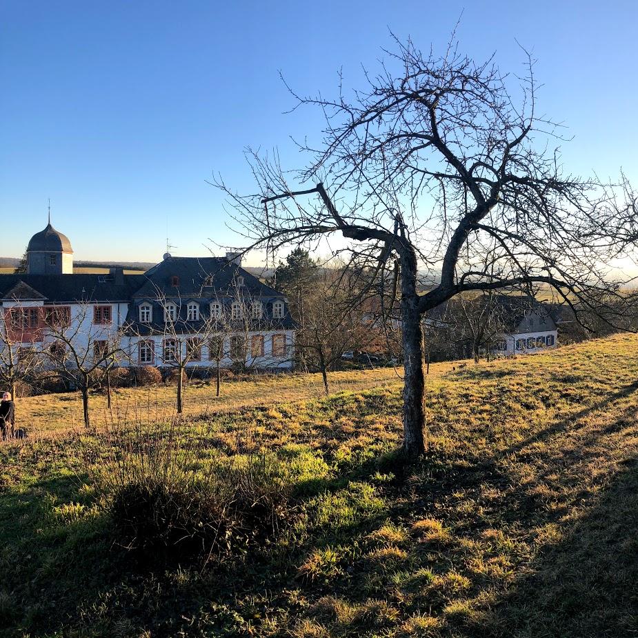 Restaurant "Burghotel" in  Münzenberg