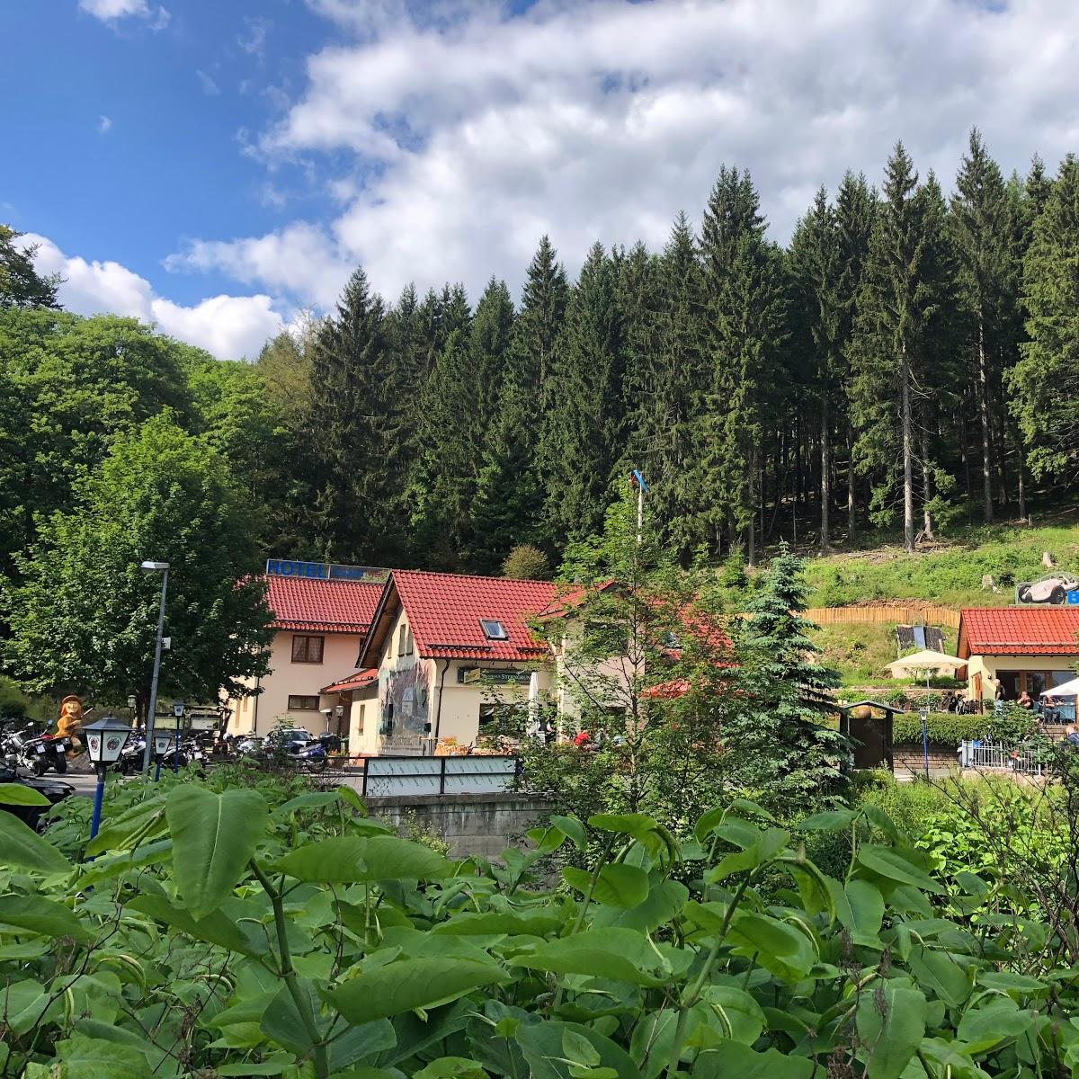 Restaurant "Hotel & Gasthaus STERNGRUND" in Zella-Mehlis