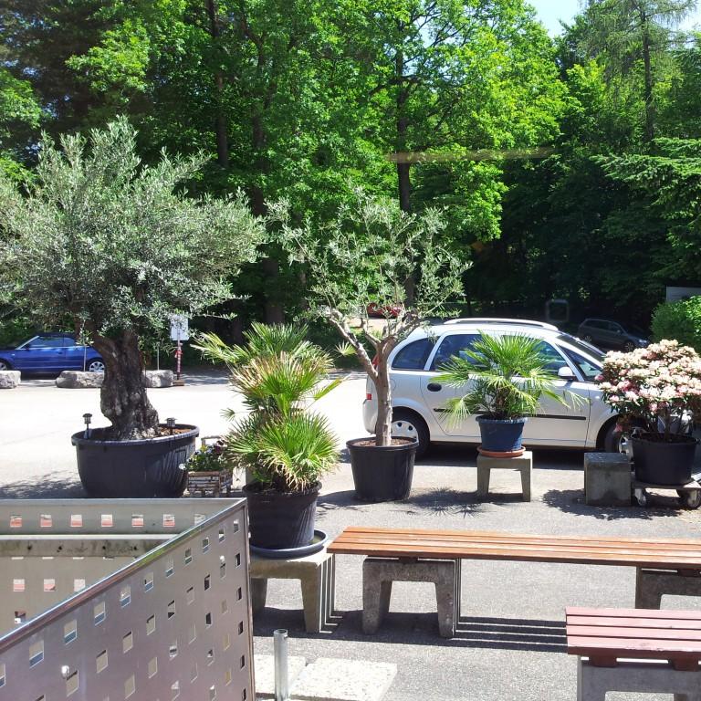 Restaurant "Waldschenke Hubere" in  Keltern