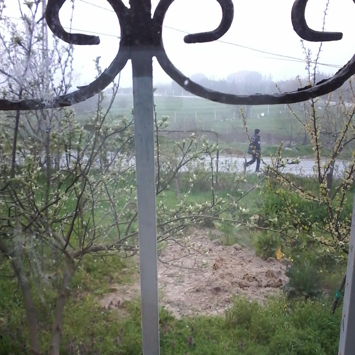 Restaurant "Gasthaus Schlössle" in  Wellendingen