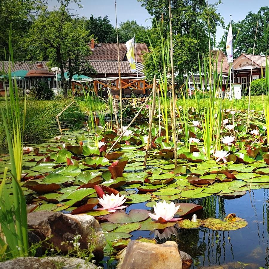 Restaurant "Schnellimbiss Korte" in  Fallingbostel