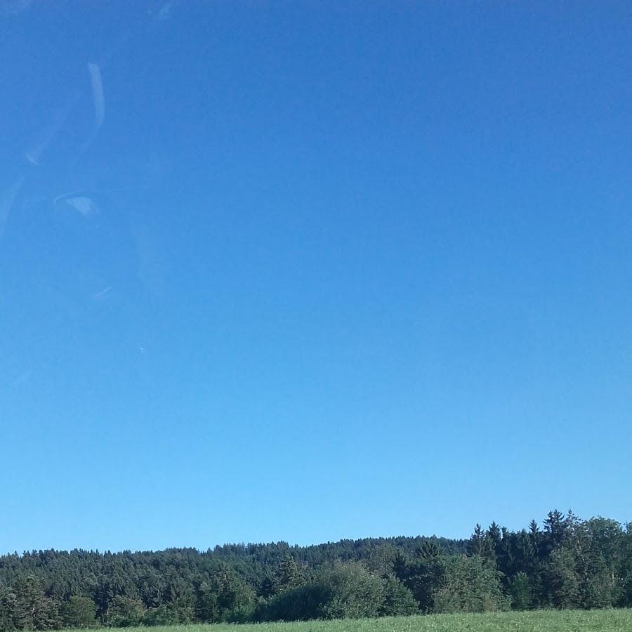 Restaurant "Gasthaus Löwen" in  Opfenbach