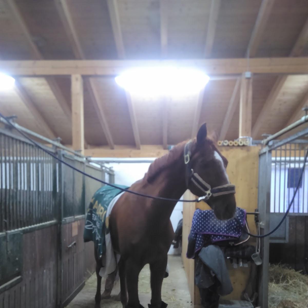 Restaurant "Kommunbrauhaus" in  Mitterteich