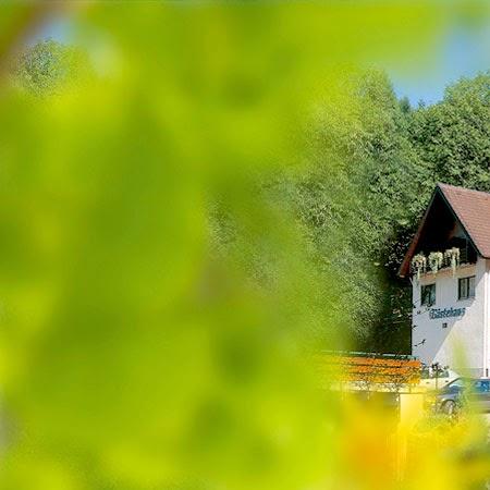 Restaurant "Hotel - Gasthof Blume" in  Oppenau