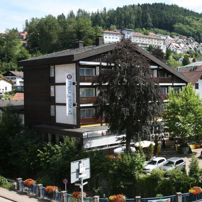 Restaurant "Hotel Pflug" in Ottenhöfen im Schwarzwald