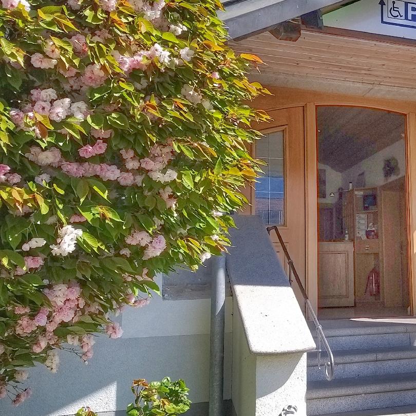 Restaurant "Wirtshaus am Zeitlbach" in  Altomünster