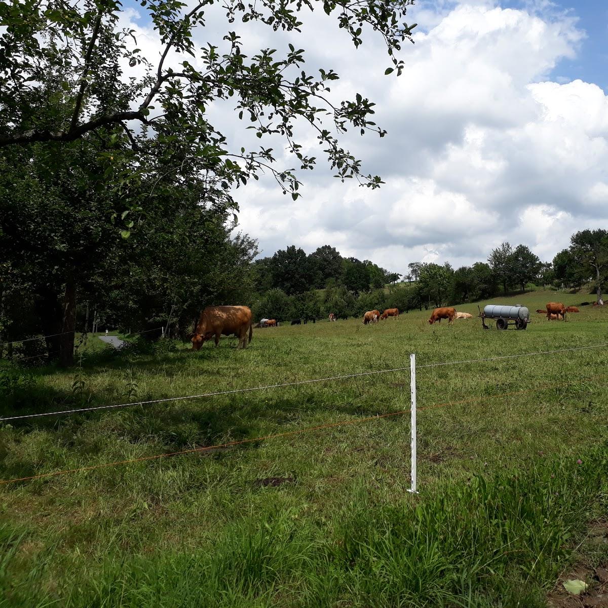 Restaurant "Dorfschänke Mitlechtern" in  Rimbach
