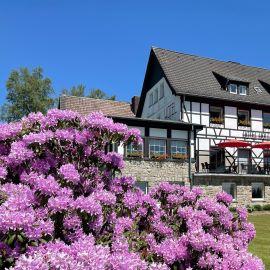 Restaurant "Hollerather Hof" in Hellenthal
