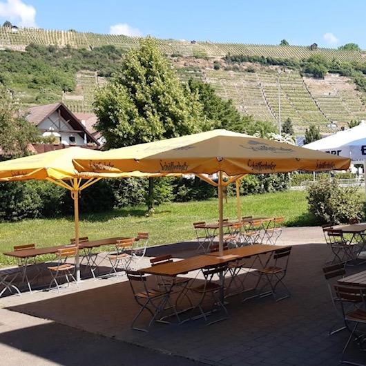 Restaurant "Grillo Ristorante Pizzeria" in  Enz