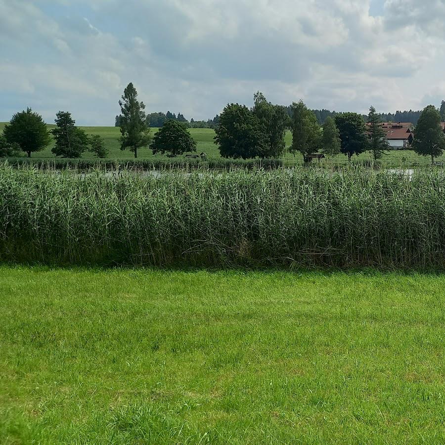 Restaurant "& Restaurant Löwen" in  Nesselwang