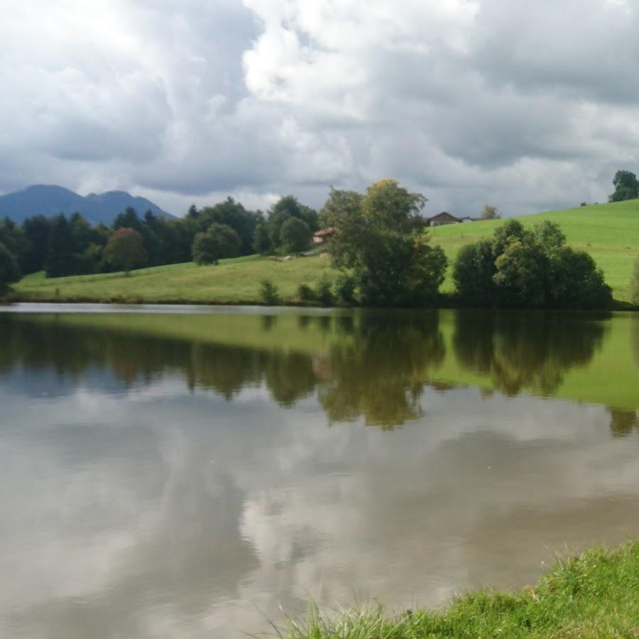 Restaurant "NARUTO" in  Unterthingau