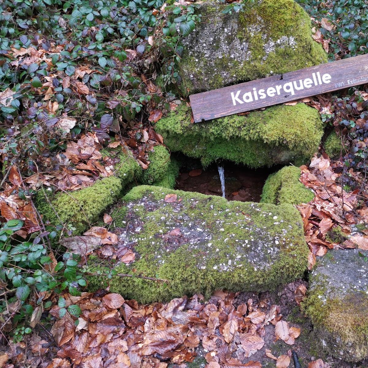 Restaurant "PWV Hütte Rutsweiler a.d. Lauter" in Rutsweiler an der Lauter