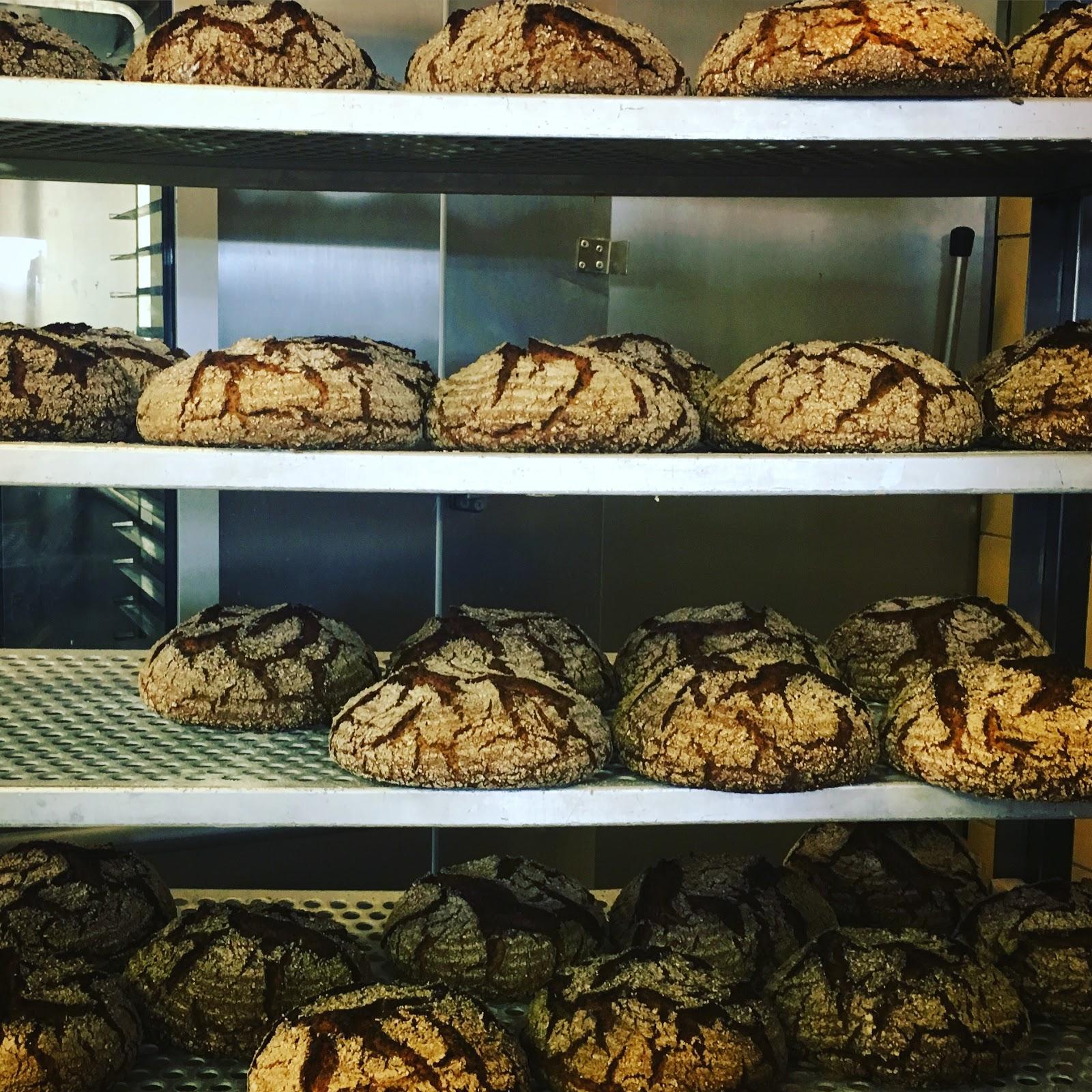 Restaurant "Hörnum" in  (Sylt)