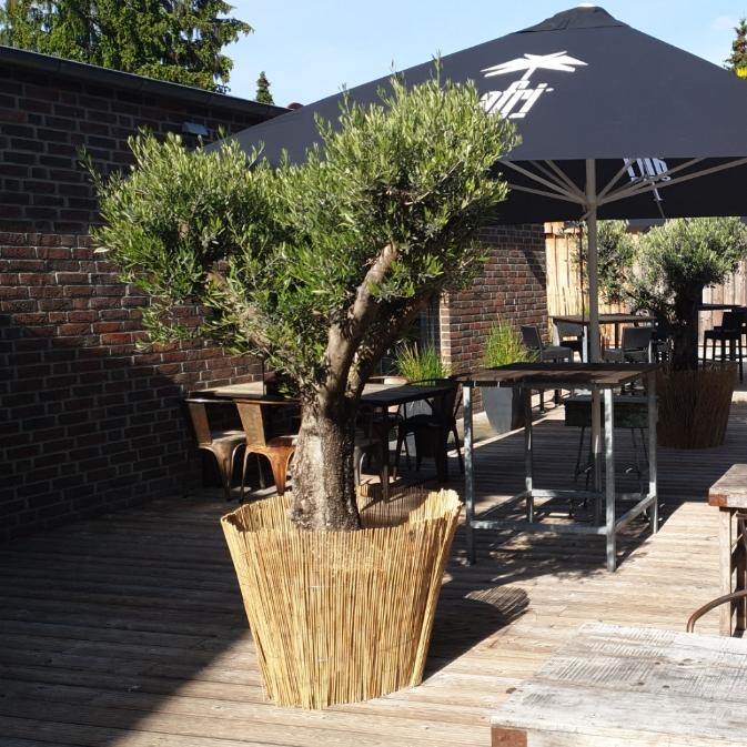 Restaurant "Restaurant  - Herr Lehmann" in Kevelaer