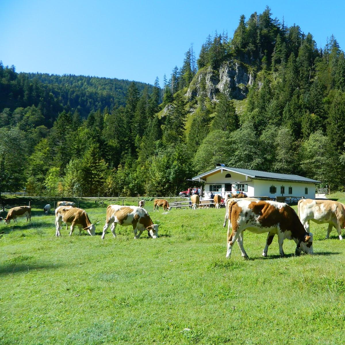 Restaurant "Biergarten Camping Kesselberg" in  See