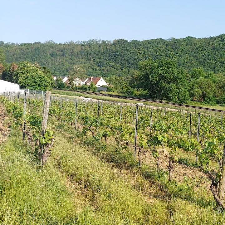 Restaurant "Hohmanns Restaurant" in Norheim