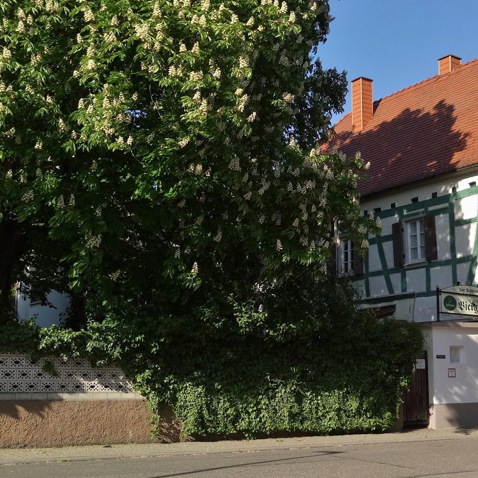 Restaurant "Grillwelt" in  Germersheim