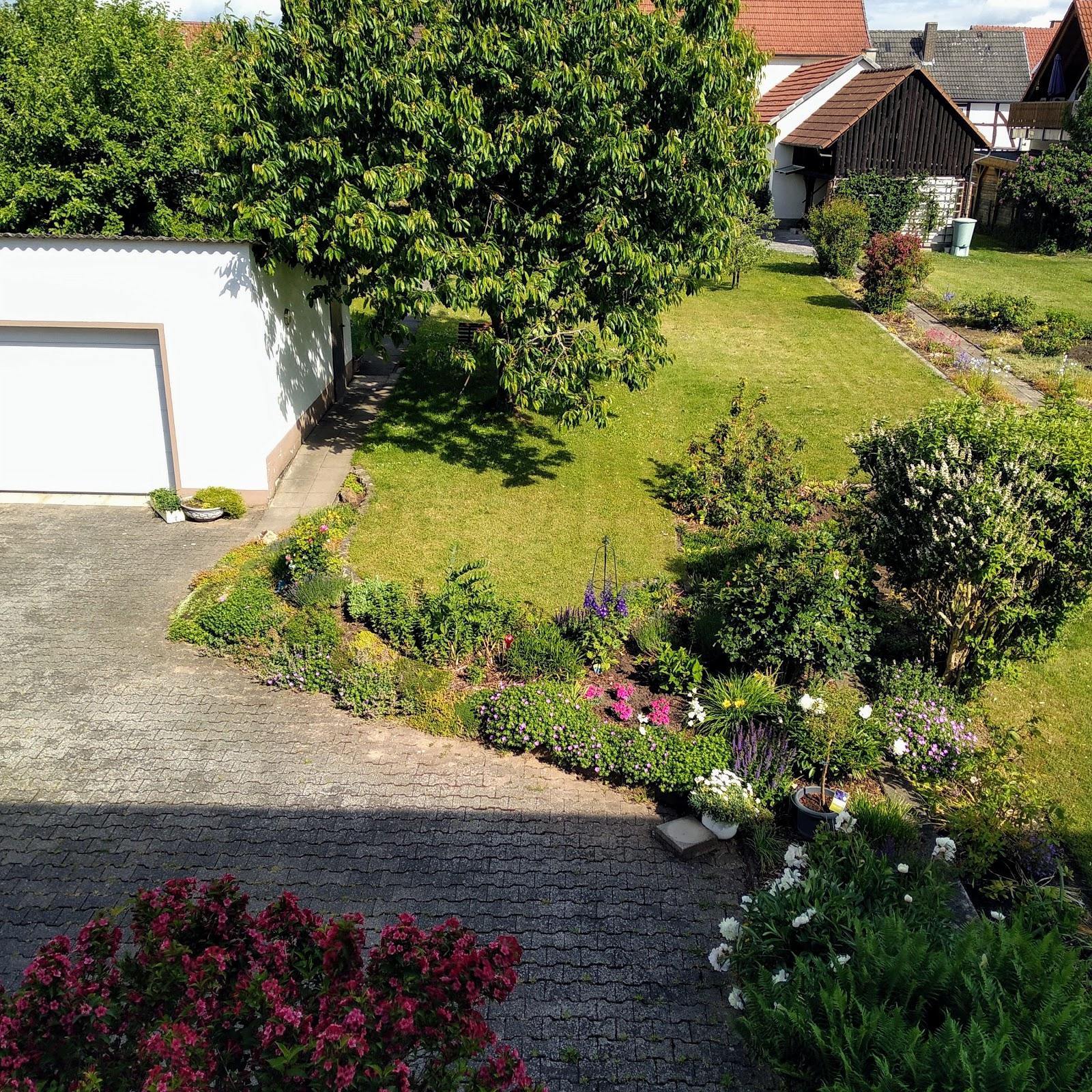 Restaurant "Hotel Luisen Mühle" in  Arolsen