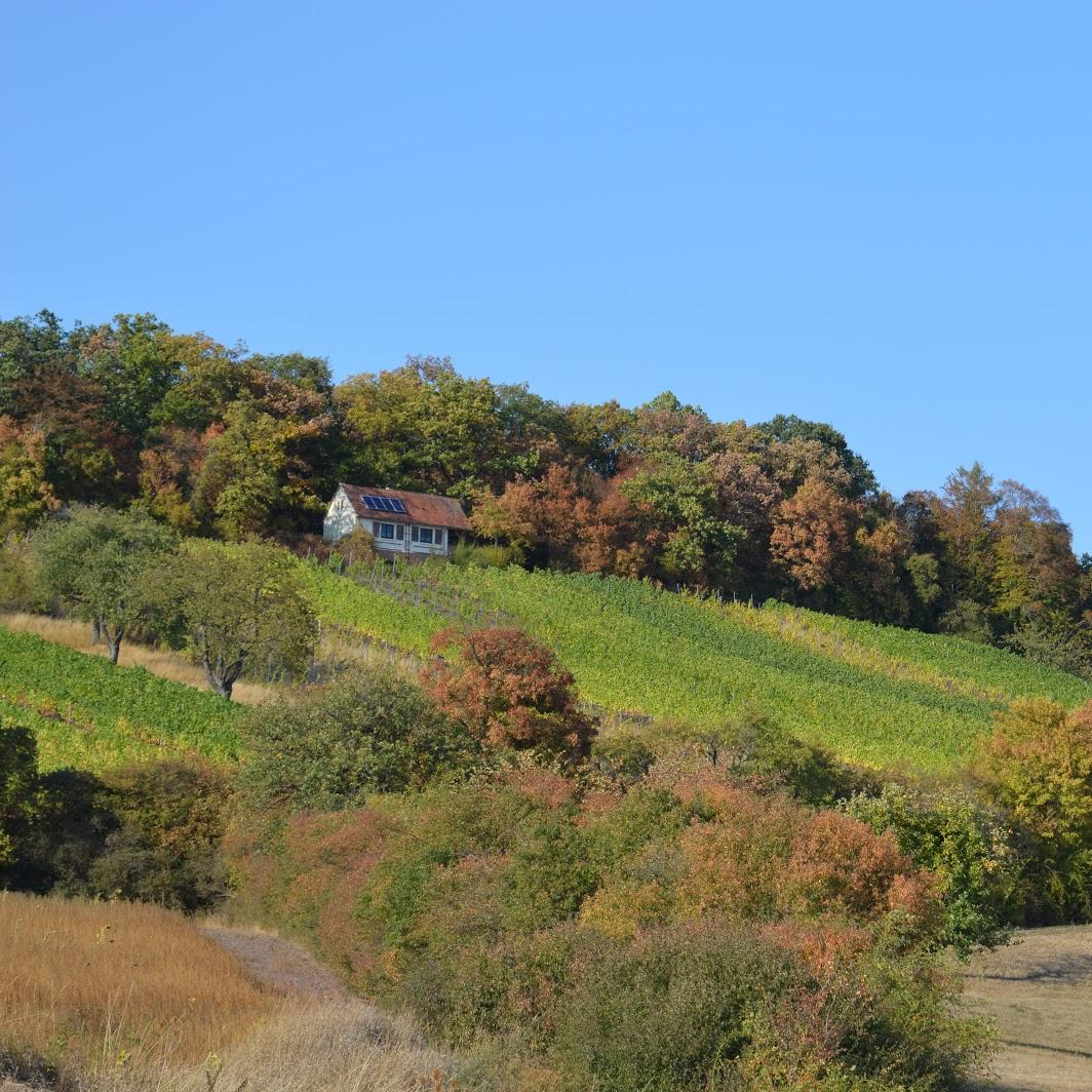 Restaurant "Gasthof Zur Wolfsschlucht" in  Sugenheim