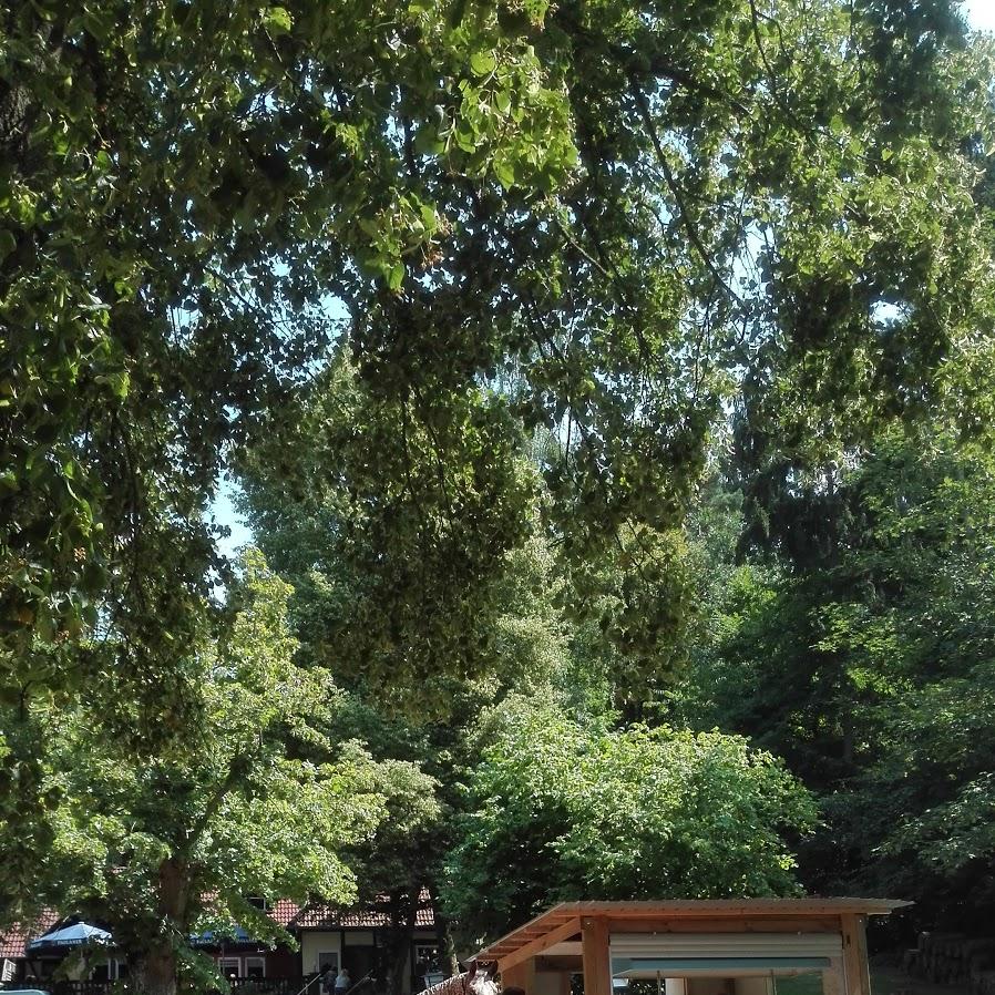 Restaurant "Restaurant Ponyhof" in  Idstein