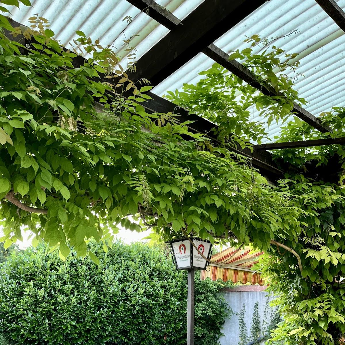 Restaurant "Zur Vogeltränke" in Stockstadt am Rhein