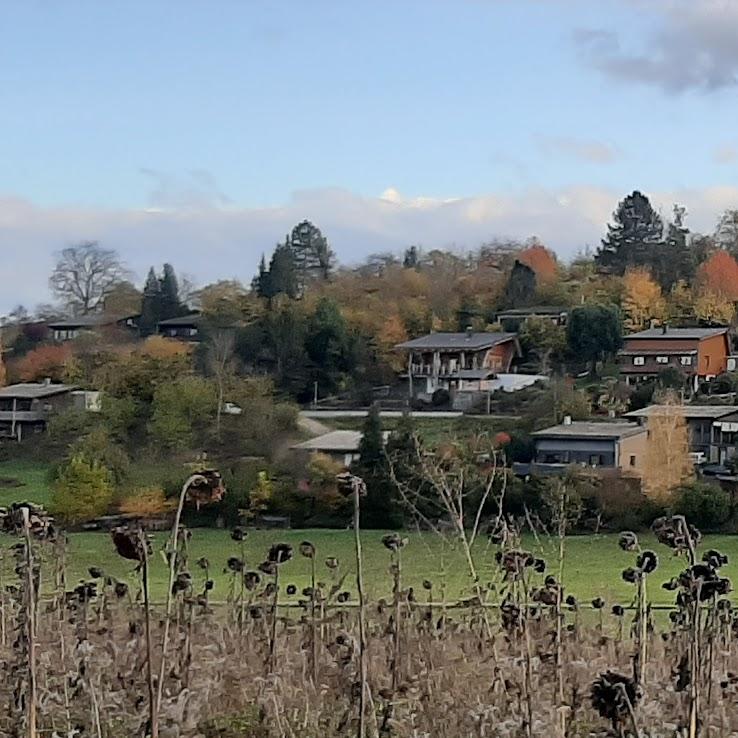 Restaurant "Hotel Seegasthof" in Zaberfeld