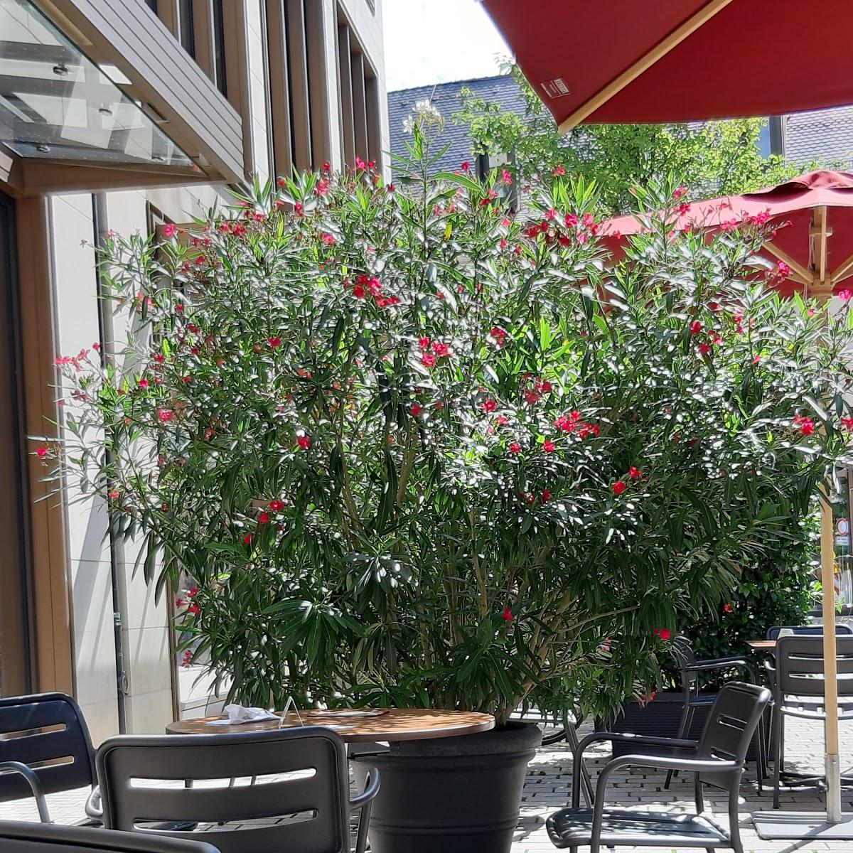 Restaurant "Komagene" in  Fürth