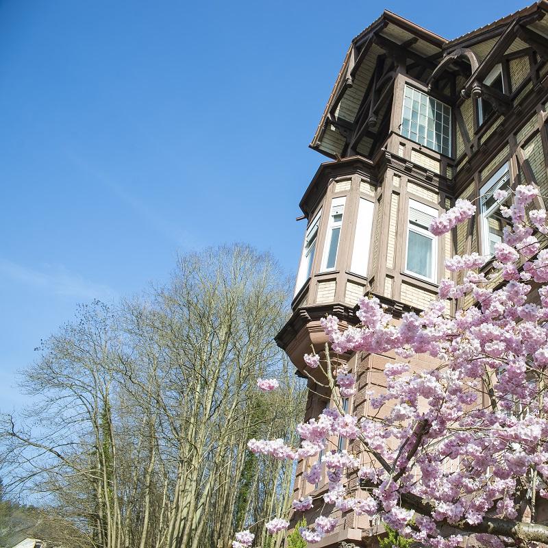 Restaurant "Bäckerei Jordan" in  Bergzabern