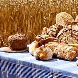 Restaurant "Gaststätte Kranz" in  Tengen