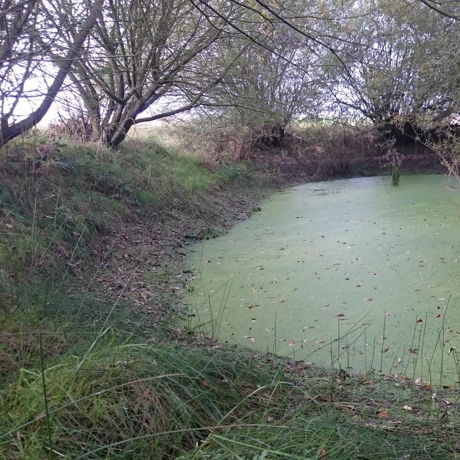Restaurant "Klostercafé Siessen" in  Saulgau