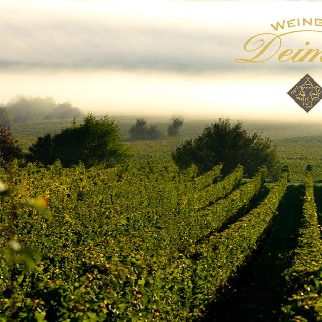 Restaurant "Weingut Manfred Deimel und Sohn GbR" in Niederkirchen bei Deidesheim