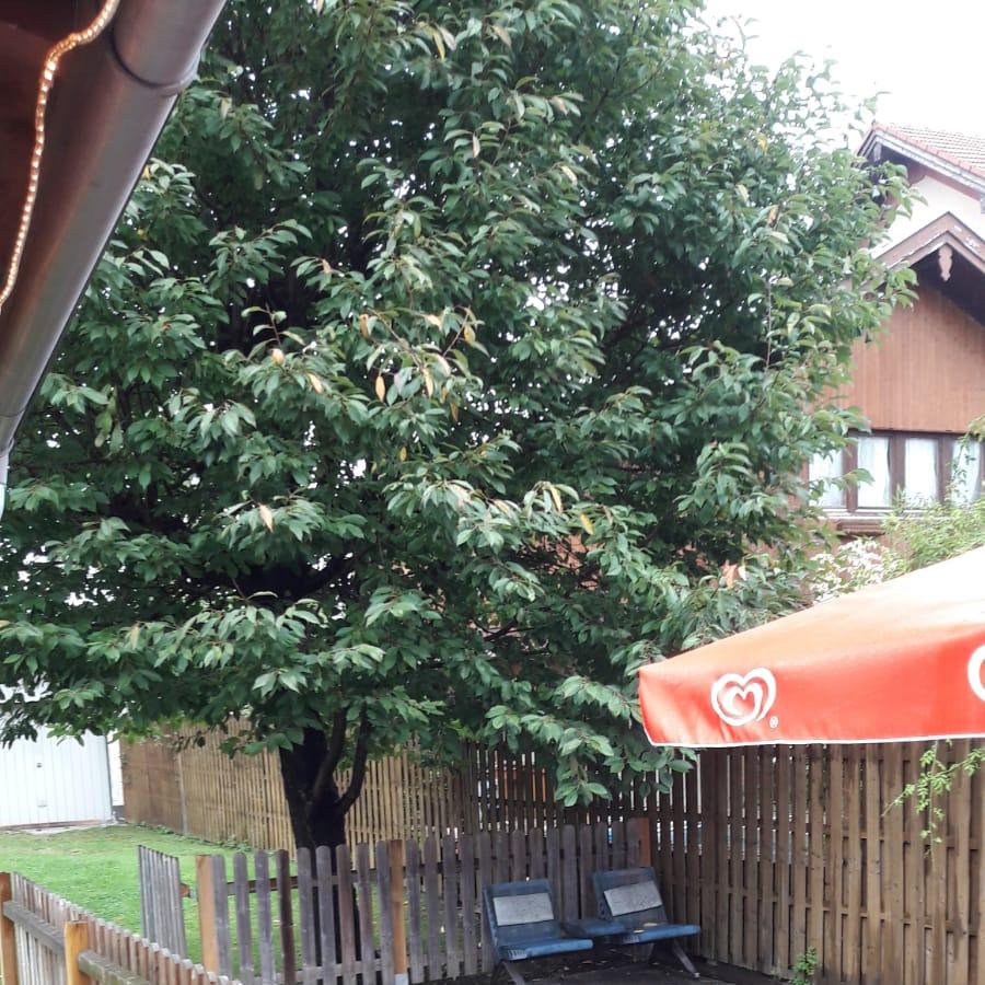 Restaurant "Sevilay Yildirim Imbissstand" in  Bruckmühl