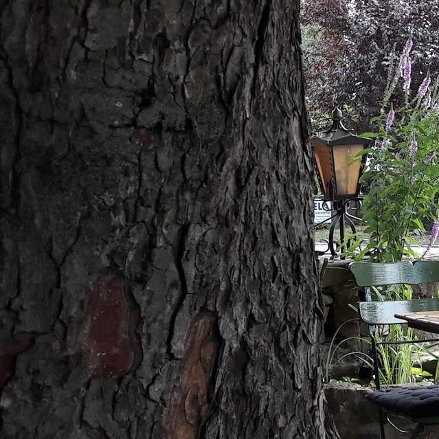 Restaurant "Alte Krone Wollbach" in  Kandern