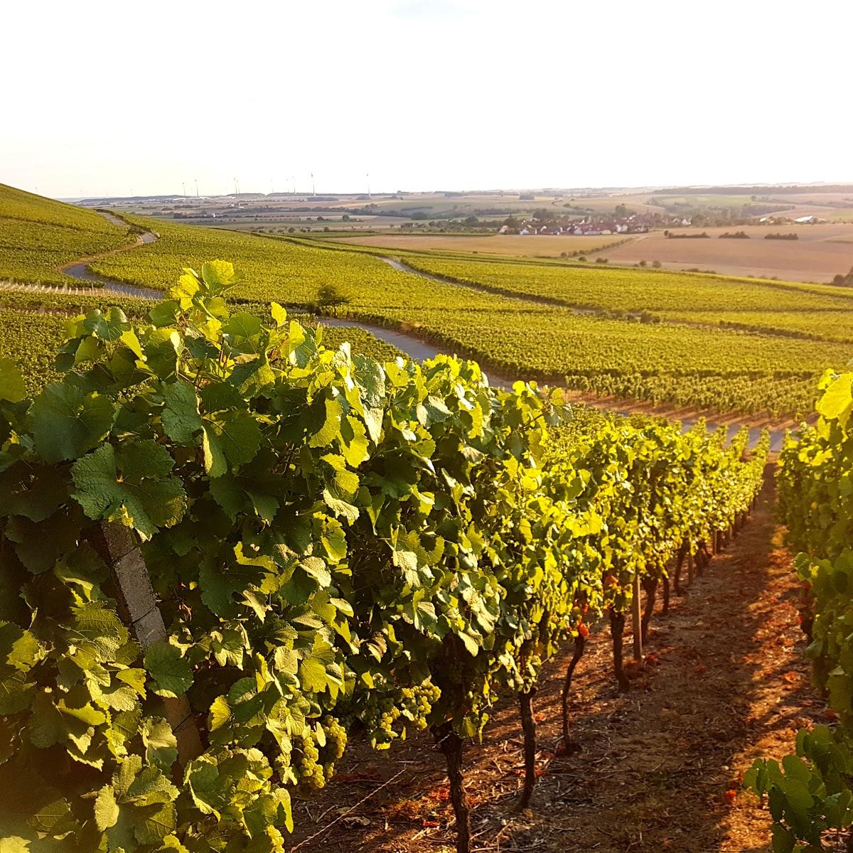 Restaurant "Schwemmer Weinbau Wengertsstübla" in  Ippesheim