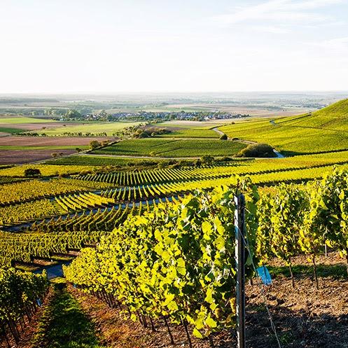 Restaurant "Weinstube Ott" in  Ippesheim