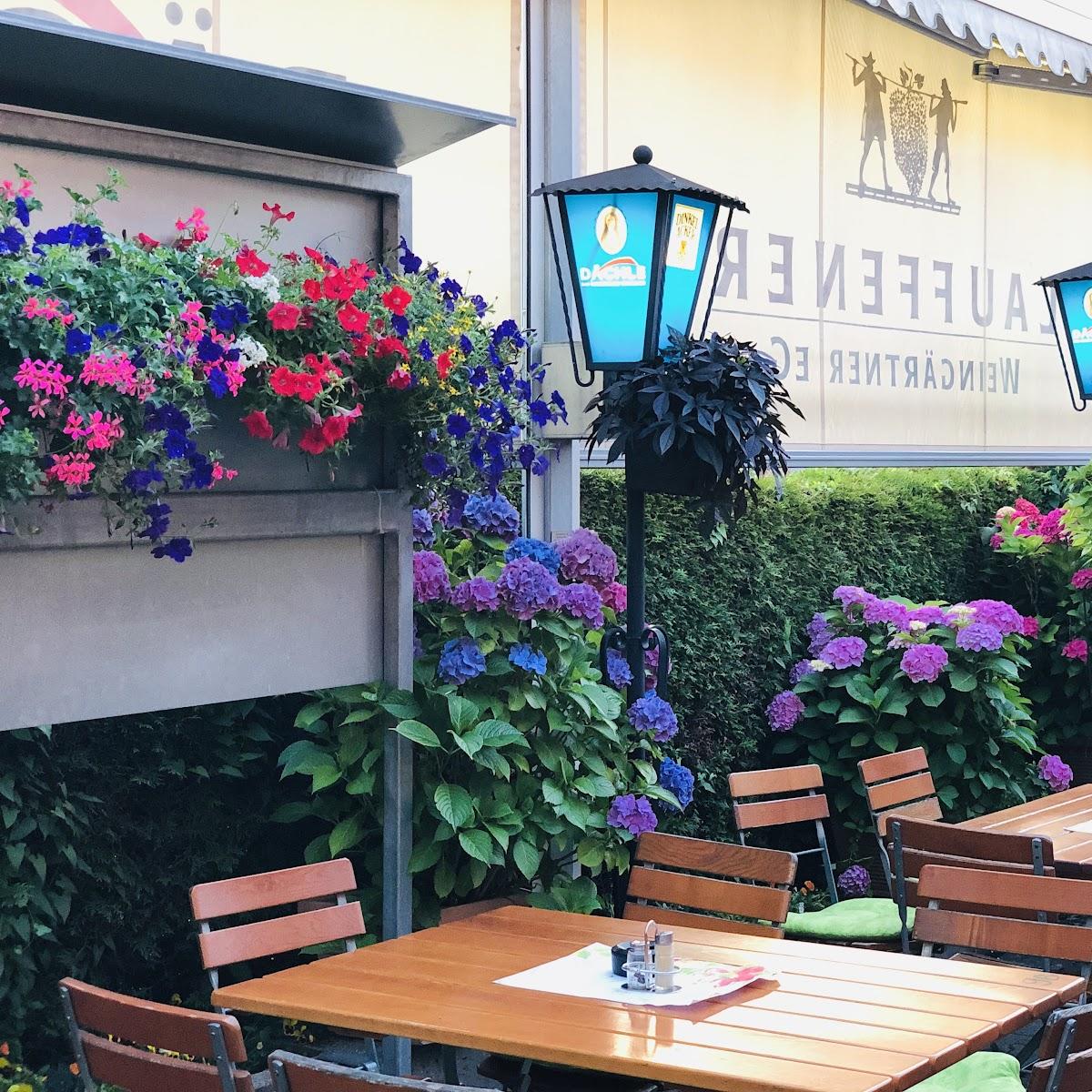 Restaurant "Dächle - Das schwäbische Wirtshaus" in Lauffen am Neckar
