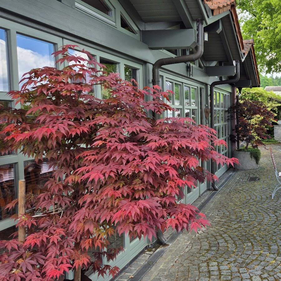 Restaurant "Steudl" in Wiesenfelden