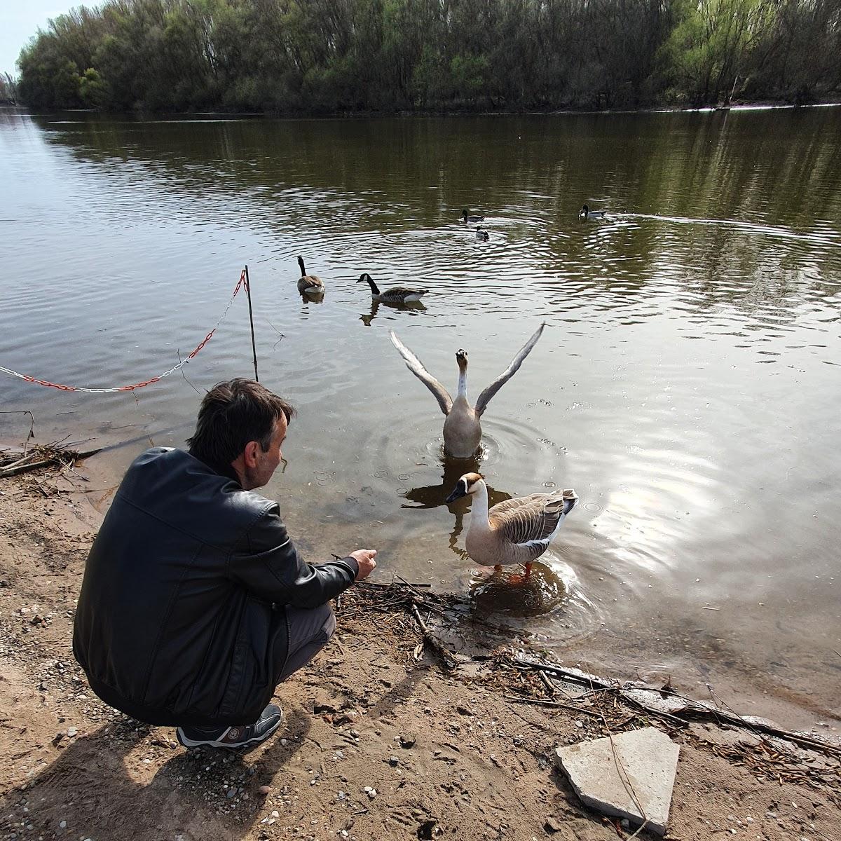 Restaurant "Treffpunkt Grill Haus" in  Lampertheim