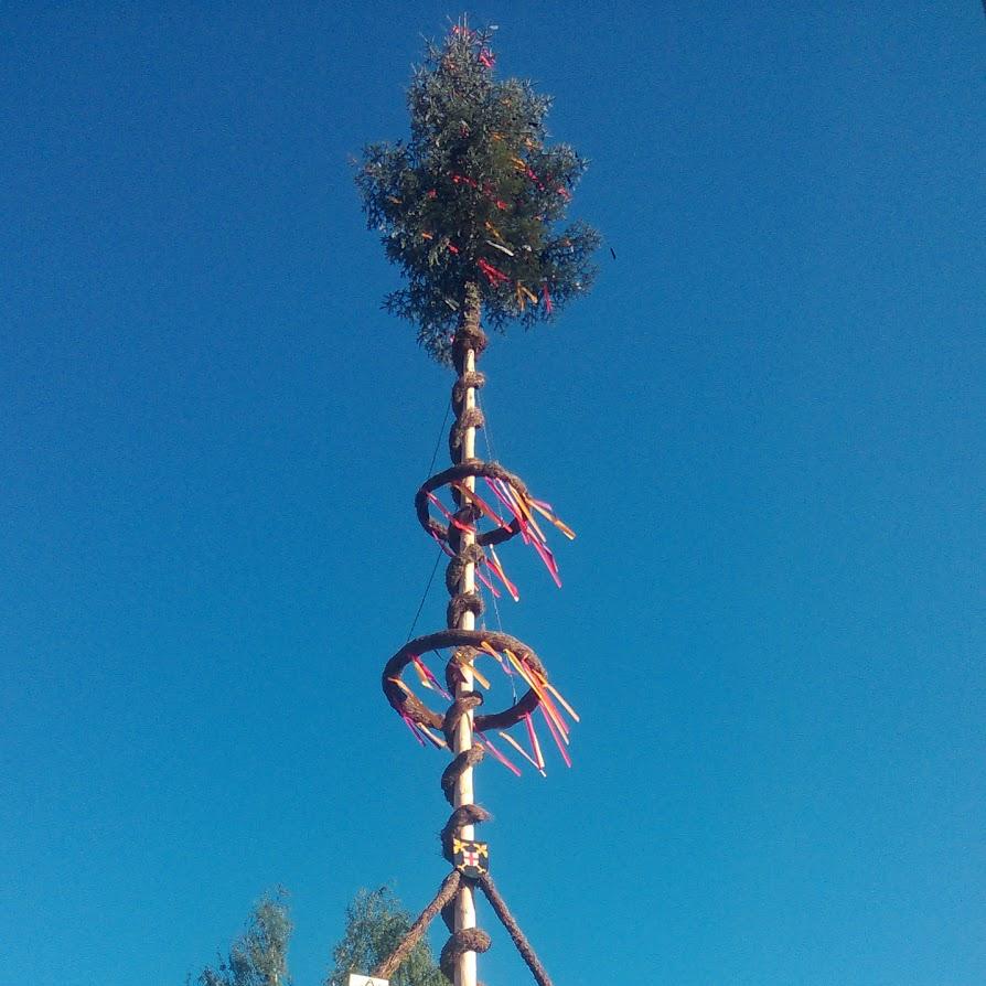 Restaurant "Gasthaus Adler" in  Erlenmoos