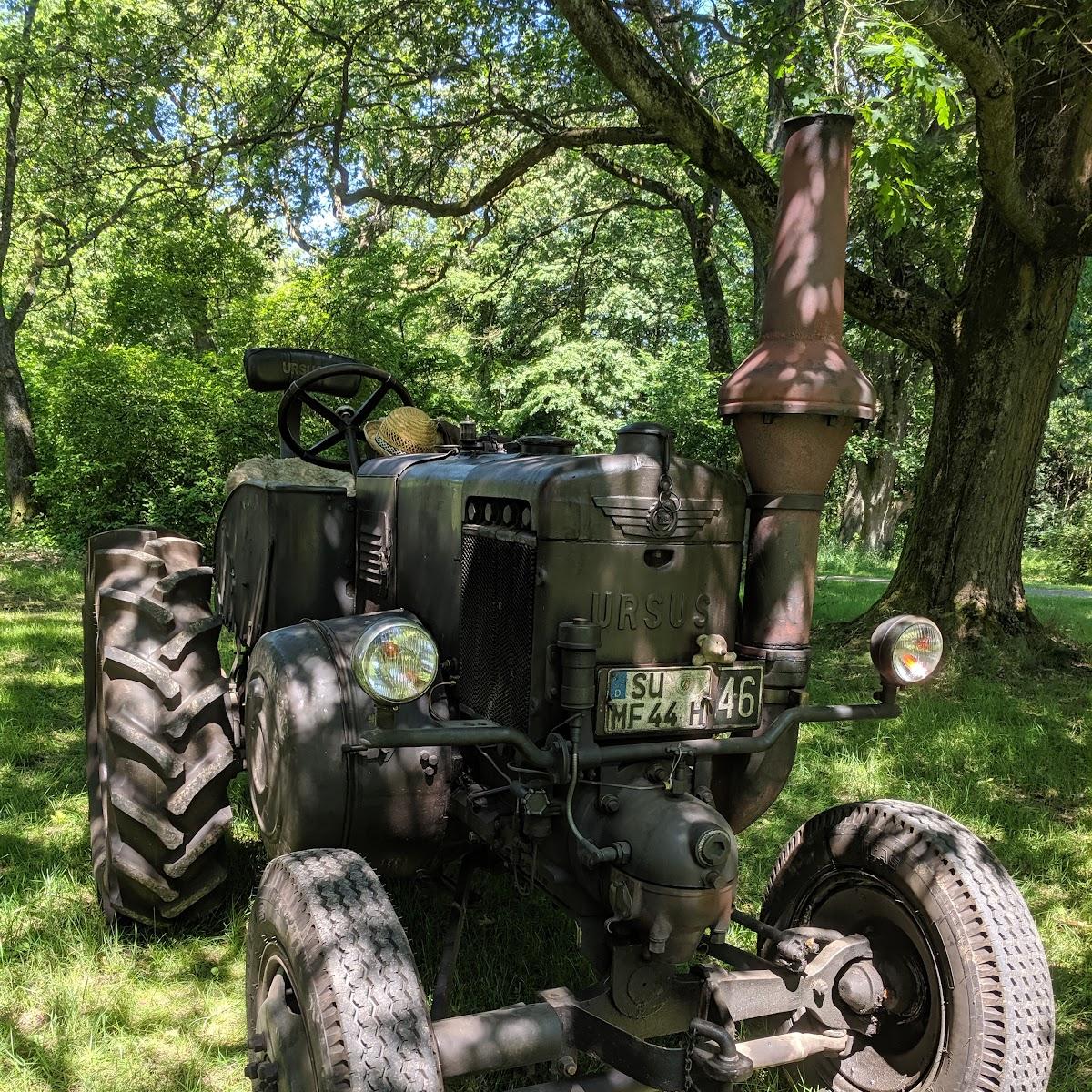 Restaurant "Alt" in Steimel