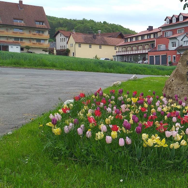 Restaurant "Landgasthof Schwarzer Adler" in Bad Staffelstein